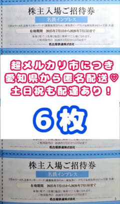 6枚　名鉄　株主優待　入場券　招待　ビーチランド　モンキーパーク　リトルワールドのサムネイル