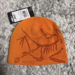 ARC'TERYX アークテリクス バードヘッド トーク 25aw 国内正規品