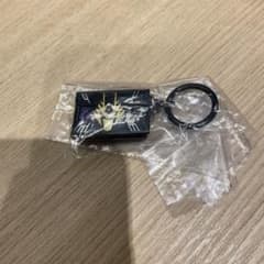 仮面ライダー龍騎めじるしアクセサリーのサムネイル