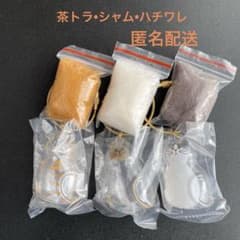 うちの子のけだまだま　茶トラ　ハチワレ　シャム　3匹セットのサムネイル