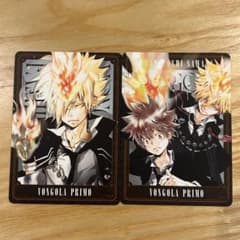 ボンゴレI世 B09 プリーモ SKR 死ぬ気レア 家庭教師ヒットマンREBORN リボーン CCG 10弾 SR レアカード ボンゴレ