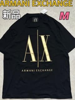 新品 Armani Exchange ブラック Tシャツ ビッグロゴ M 金刺繍 新品 Armani Exchange ブラック Tシャツ ビッグロゴ M 金刺繍 - メルカリ