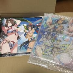 閃乱カグラ シノビマスター 公式画集 UNDER TOP 限定パネル ケース付き