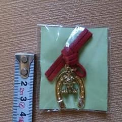 プントウーノ馬蹄×カエル チャームのサムネイル