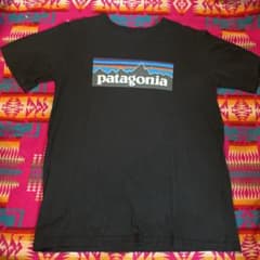patagonia パタゴニア キッズTシャツのサムネイル
