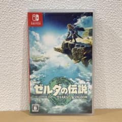 Switch 젤다의 전설 티어즈 오브 더 킹덤