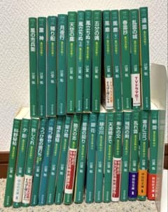 風の市兵衛 文庫本 辻堂魁 祥伝社文庫 まとめ売り - メルカリ
