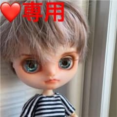 専用♪アイシードール♪男の子♪ミディブライスサイズ♪ミディホーク君♪No.135 専用♪アイシードール♪男の子♪ミディブライスサイズ♪ミディホーク君