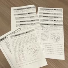サピックス 6年 社会 SS特訓　開成　学校別対策プリント 東京プリント