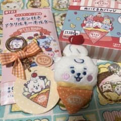 BT21 Plush Badge Acrylic Keychain with Ribbon - RJ JIN