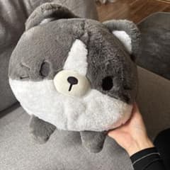 猫 ぬいぐるみ ハチワレのサムネイル