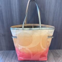 専用！コーチ・coach全然ファブリックのサムネイル