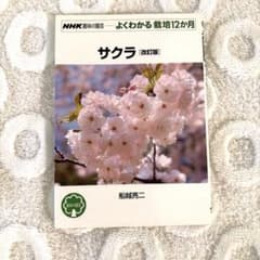 NHK趣味の園芸　 サクラのサムネイル