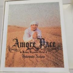 レア】中田英寿 amorepace 写真集 サッカー シリアルナンバー付き