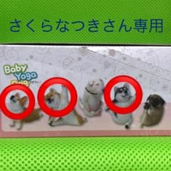 朝隈俊男　Animal Life べいびーよがどっぐ 3種のサムネイル