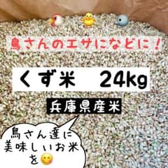 くず米 24kg 兵庫県産米 鳥さんのエサ 飼料用米のサムネイル