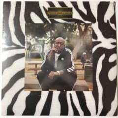 未開封Freddie Gibbs & Madlib/Pinata 2LPレコード - メルカリ