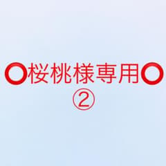 ⭕️桜桃様専用⭕️ ②  砂漠のハレムのサムネイル