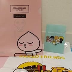 카카오프 렌즈 파일