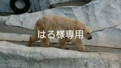 はる様専用のサムネイル