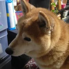 あいちゃむ様専用ですのサムネイル