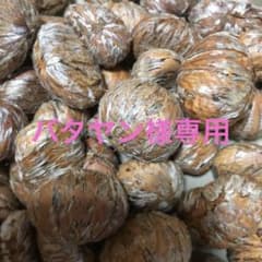 バタヤン様専用　熊本県産　栗のサムネイル