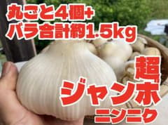 超ジャンボ生ニンニク　丸ごと4個+バラ合計約1.5kg インパクトある大きさのサムネイル