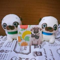 パグちゃん コインケースのサムネイル