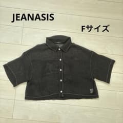 【新品未使用✨】JEANASIS 半袖シアーシャツ ブラック ショート丈 Fのサムネイル