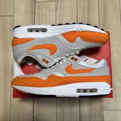 「NIKE エアマックス1 マグマオレンジ 29cmのサムネイル