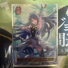 プリンセスフォーム レイ リーダー - メルカリ