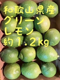 和歌山県産グリーンレモン　約1.2kgのサムネイル