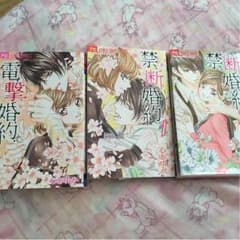 電撃婚約・禁断婚約1巻2巻のサムネイル