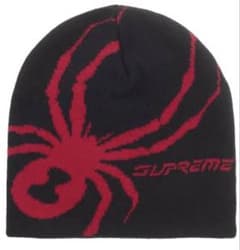 Supreme Spyder Beanie - メルカリ