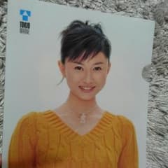 菊川怜 非売品 クリアファイルのサムネイル