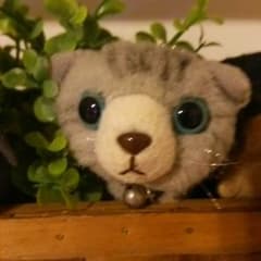きゃなさま専用のサムネイル