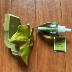wallflowers  本体＋リフィル　セットのサムネイル