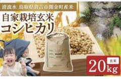 《玄米》 農家直送米　20kg 令和7年　鳥取県産 コシヒカリ《玄米》のサムネイル