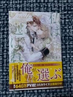 私は選ばれない　碧貴子のサムネイル