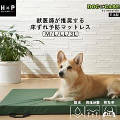 マット＆シーツセット　犬　介護　床ずれ予防マットレスのサムネイル
