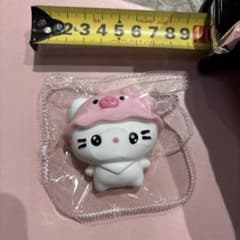 최종 가격 인하 고양이 돼지 스퀴즈