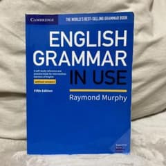 English grammar in useのサムネイル