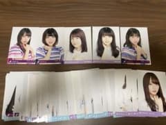 乃木坂46 生写真 256枚のサムネイル