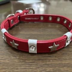 ディズニーわんわん物語レディ小型犬用散歩用首輪 | Shop at Mercari