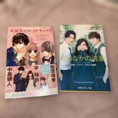 未成年だけどコドモじゃない ひるなかの流星 小説のサムネイル