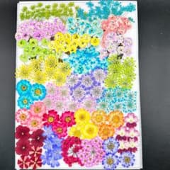 押し花素材 3906 染め花入りカラフルミックス - メルカリ