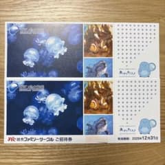 新江ノ島水族館 招待券２枚 2025年12月31日までのサムネイル
