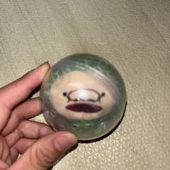 こびとづかん のぬいぐるみ3 ガチャ カプセルトイのサムネイル