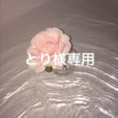 とり様専用のサムネイル