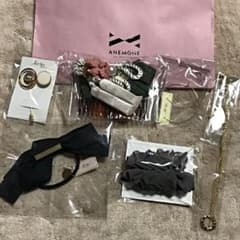 アネモネ 2020のサムネイル